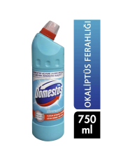 DOMESTOS OKALİPTUS FERAHLIĞI 750 ML