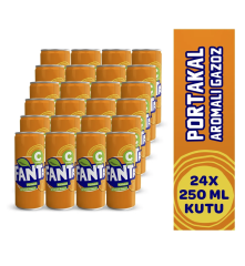 FANTA 250 ML 24 LÜ